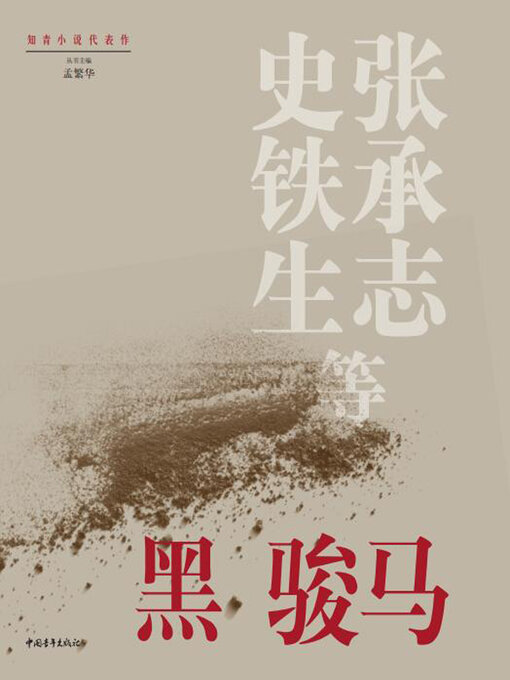 Title details for 黑骏马 by 中国青年出版总社有限公司 - Available